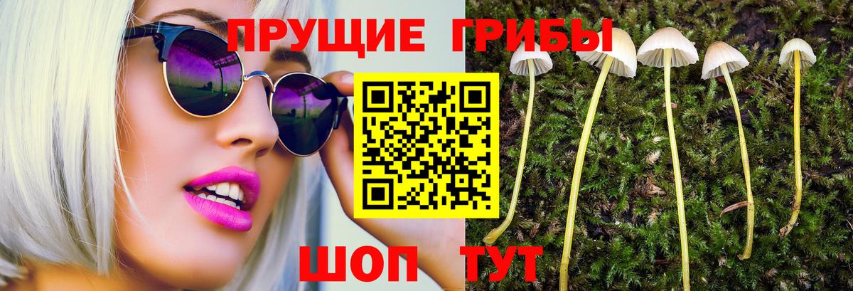 Псилоцибиновые грибы MAGIC MUSHROOMS Дятьково