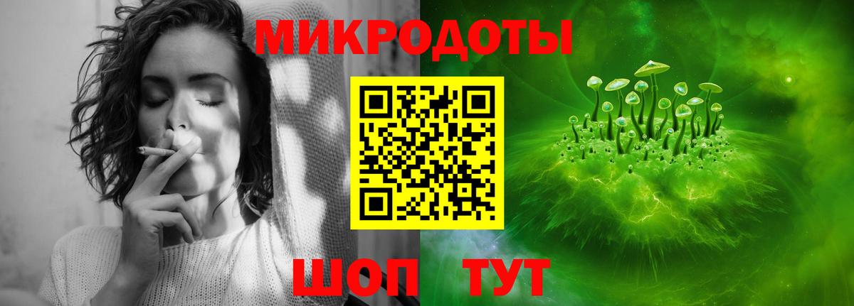 Меф Дятьково